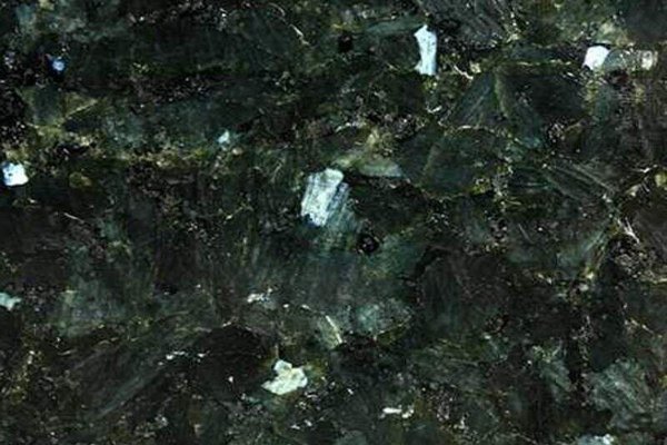 Ala de Mosca Verde
